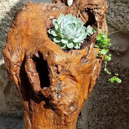 Holiday home Refugio Dos Coviais