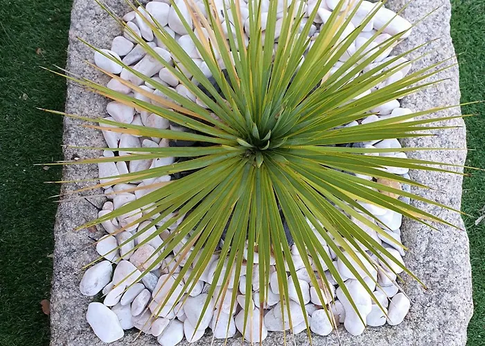 Refugio Dos Coviais * Guarda