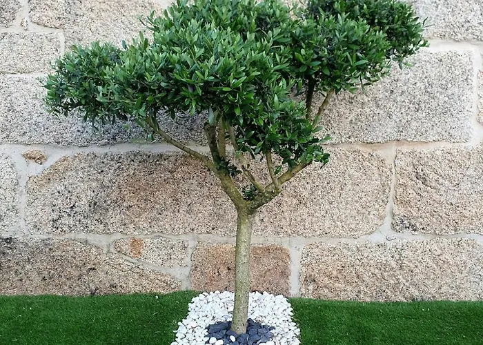 Refugio Dos Coviais Vakantiehuis *