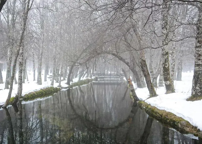 Refugio Dos Coviais * Guarda